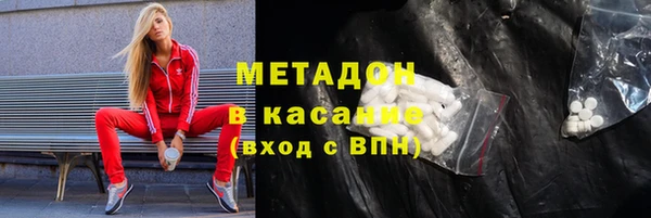 шишки Арсеньев