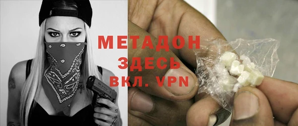 шишки Арсеньев