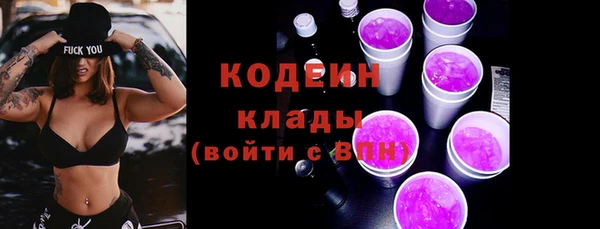 шишки Арсеньев