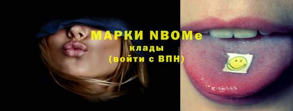 шишки Арсеньев