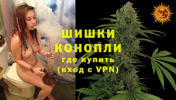 шишки Арсеньев