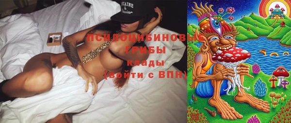 ГАЛЛЮЦИНОГЕННЫЕ ГРИБЫ Балахна