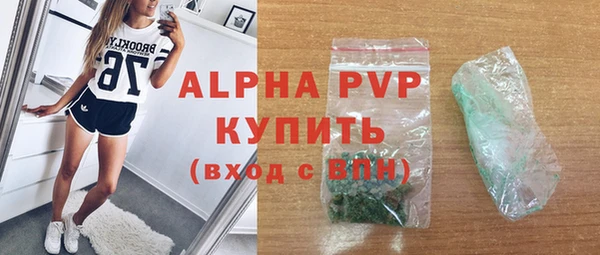 шишки Арсеньев