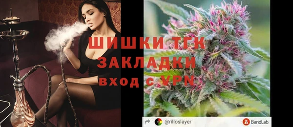 шишки Арсеньев