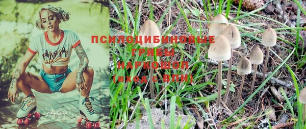 ГАЛЛЮЦИНОГЕННЫЕ ГРИБЫ Балахна